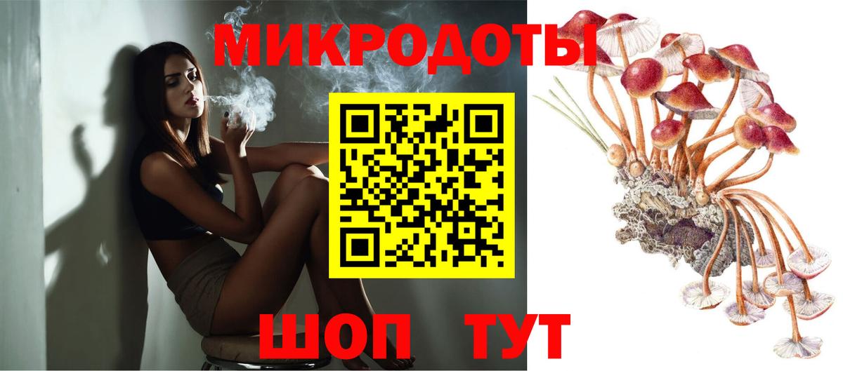 Щёлково  Галлюциногенные грибы Psilocybe  Вход с VPN  Галлюциногенные грибы Psilocybe 